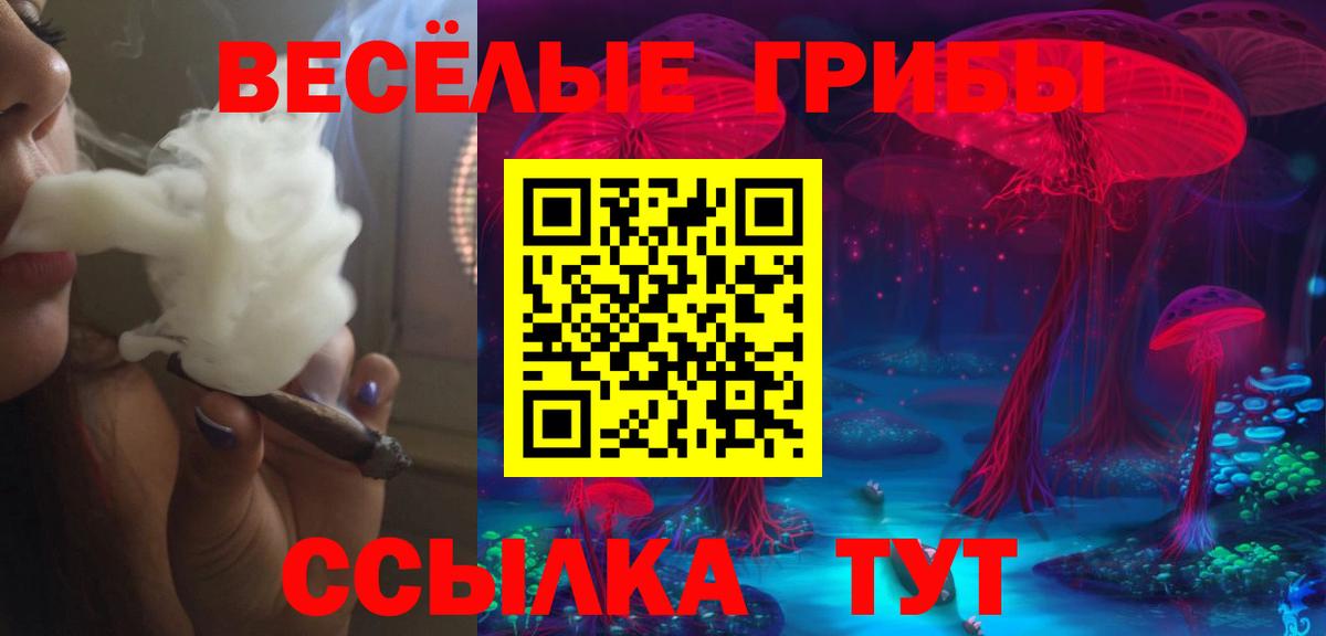 Псилоцибиновые грибы Cubensis Арзамас